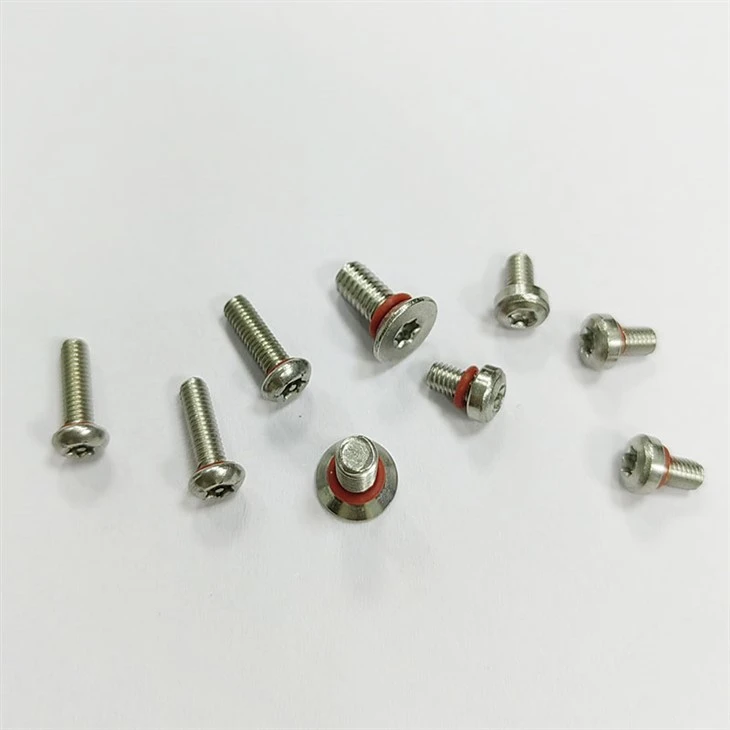torx sealing screw (5)
