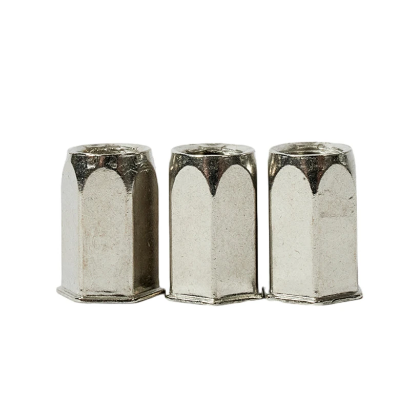 Hex Head Rivet Nut