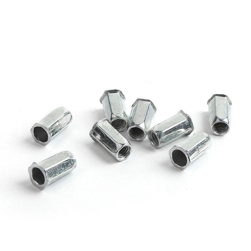 hex head rivet 4