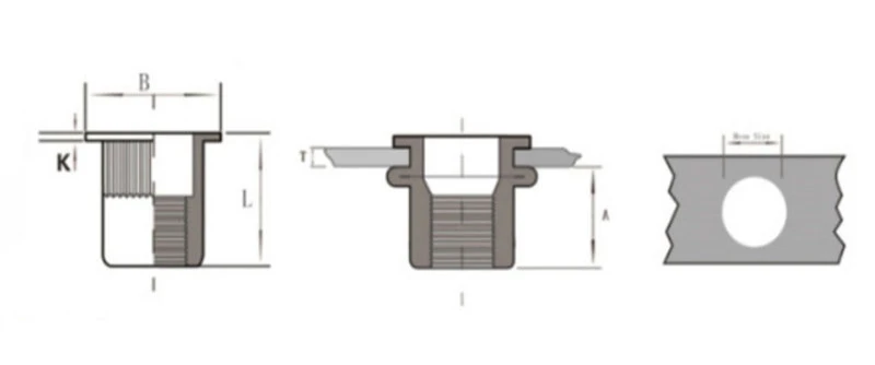 steel press-fit nut 1